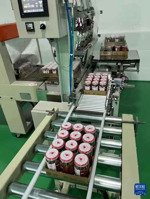 日本の食品メーカー 四川省でザーサィ生產 伝統制法守る