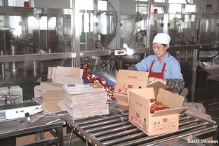 帝華食品公司擴企增效促發展