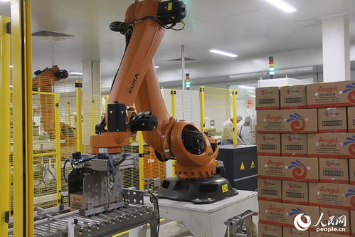 安琪酵母俄羅斯公司工廠竣工投產儀式在利佩茨克舉行